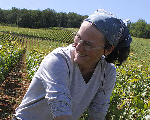 Domaine Henri Naudin Ferrand Grandi Bottiglie